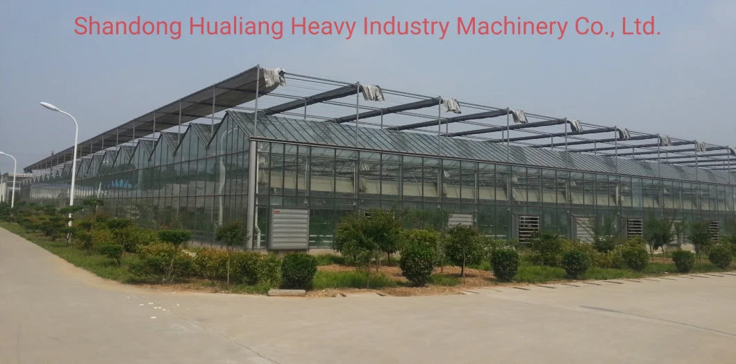 Large-Scale Soilless Agricultural Cultivation Glass Greenhouse with Tomato Cucumber