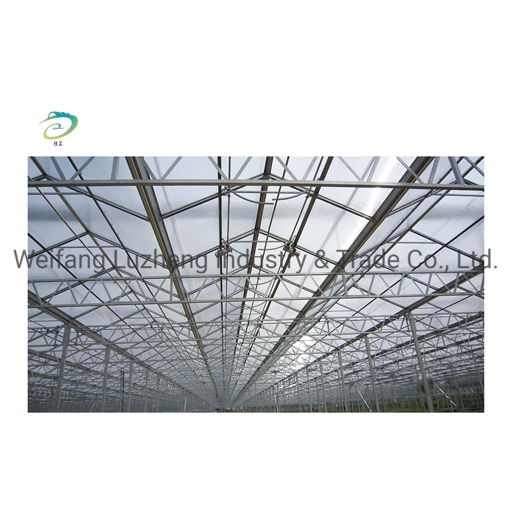 Hydroponic Venlo PC Polycarbonate Energy Drive Photovoltaic Panel Solar Greenhouse, Glass Greenhouse