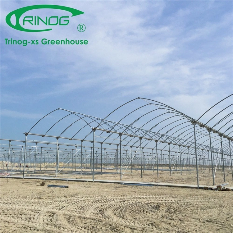Cheap Agriculture Multi-Span Film Greenhouse Commercial Greenhouse with Shading System for Cultivation