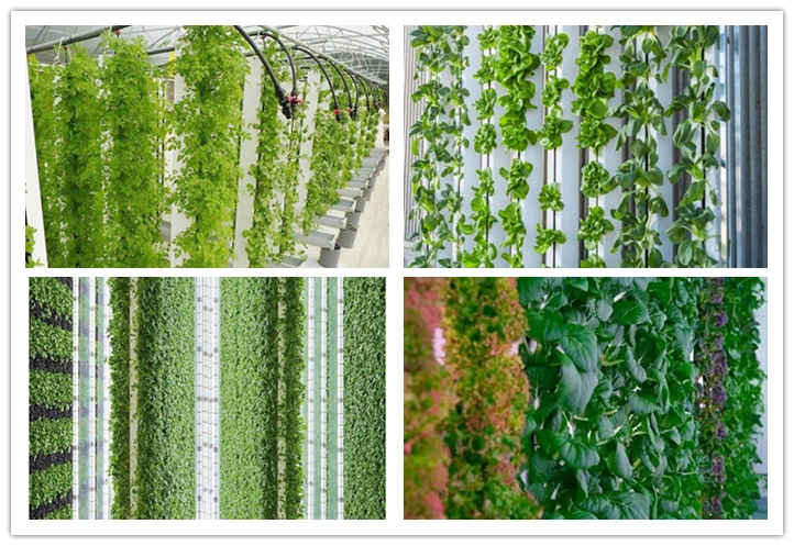 Building Material Vertical Farm Substrate Planting Trough Greenhouse Planting Growth Gutter in Nft Hydroponics System