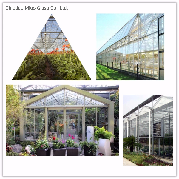 Processed Glass Float Glass Panel 4mm Tempered Glass for Greenhouse