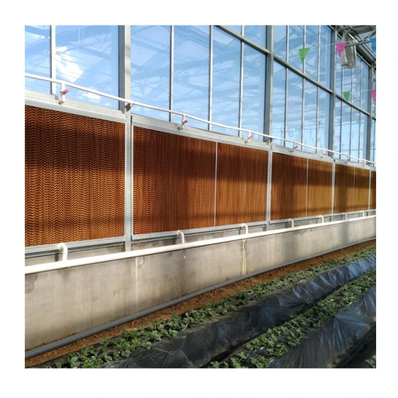 Multi-Span Plastic Film Agriculture Hydroponics Greenhouse for Garden/Vegetable/Tomato/Cucumber/Salad