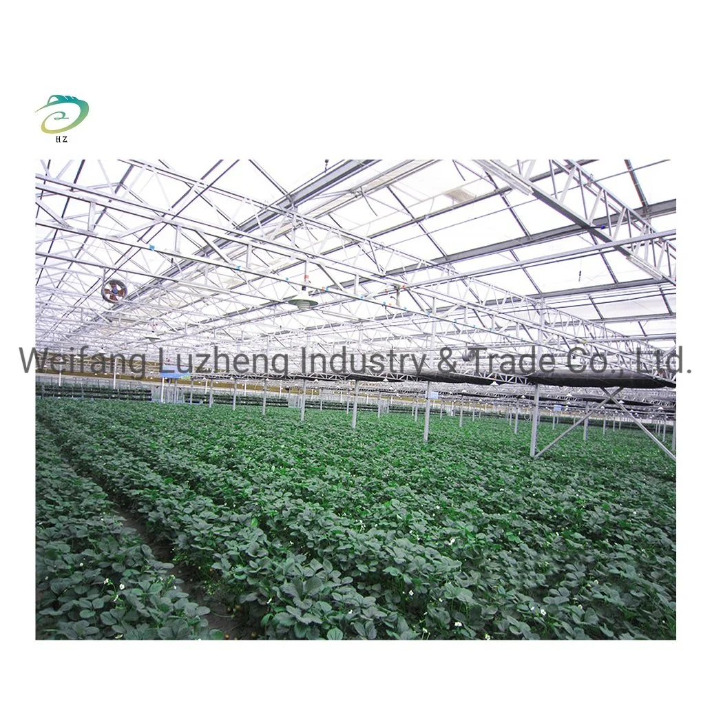 Hydroponic Venlo PC Polycarbonate Energy Drive Photovoltaic Panel Solar Greenhouse, Glass Greenhouse