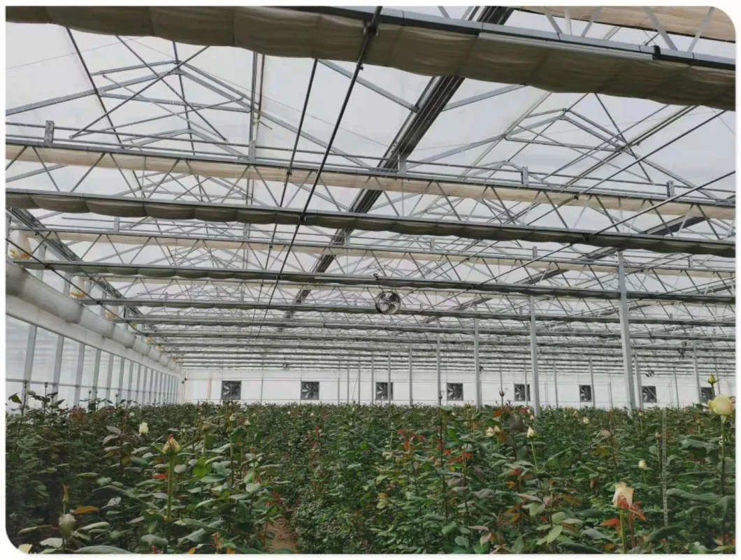 Agricultural Greenhouse Inside Screen Aluminum Foil Sun Shade Net 75% Shading and 67% Energy Saving