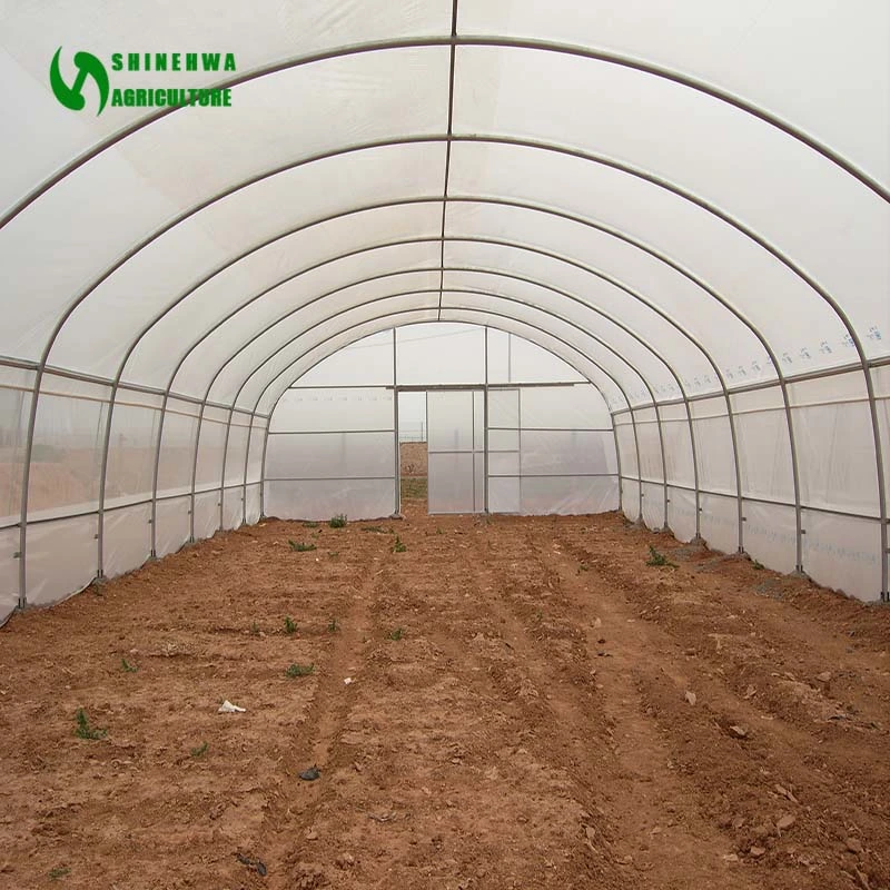 China Single Span Tunnel Hoop Plastic Film Green House with Hydroponics System for Sale