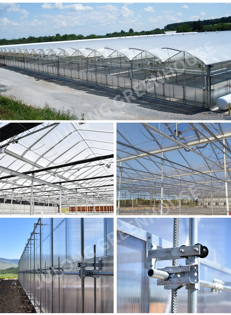 Polycarbonate Sheet Greenhouse with Steel Structure Flower Greenhouse