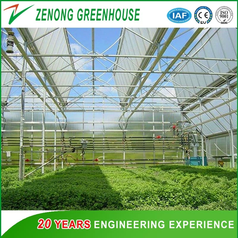 Easy Control Intelligent Hydroponic Greenhouse PC Sheet/ Glass Greenhouse for Seed Breeding/ Seedlings/ Restaurant/ Experiment
