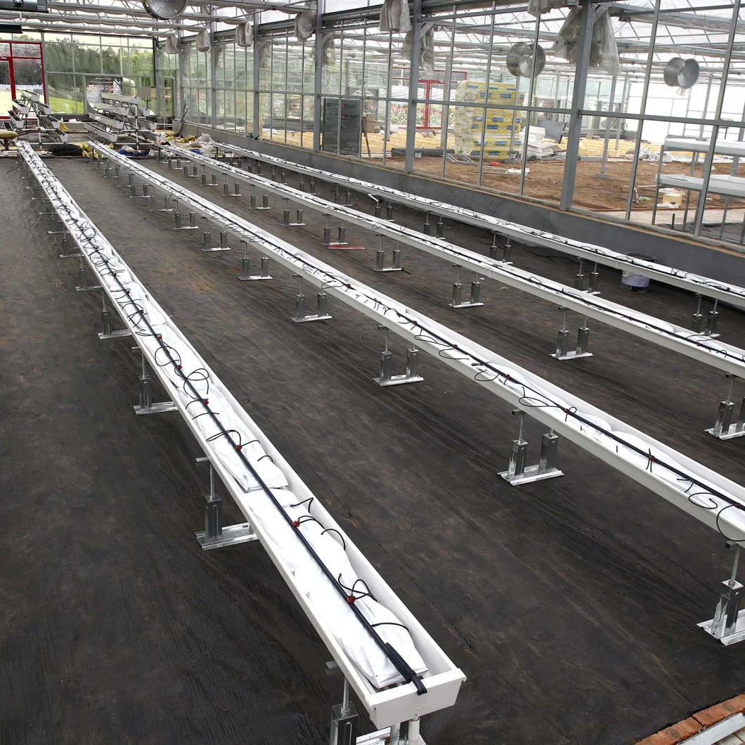 Multi-Span Venlo Style Glass Agriculture Greenhouse with Hydroponic