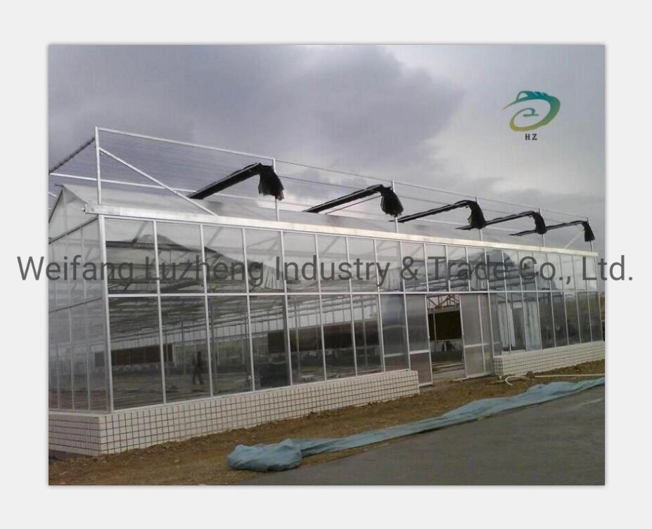 Multi or Single-Span Greenhouse for Vegetables Cucumber Tomato, Plastic Greenhouse