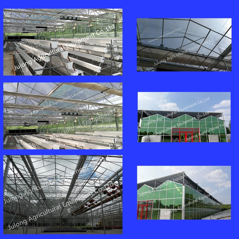 Venlo Style Glass Agricultural Greenhouse with Automatic Control System