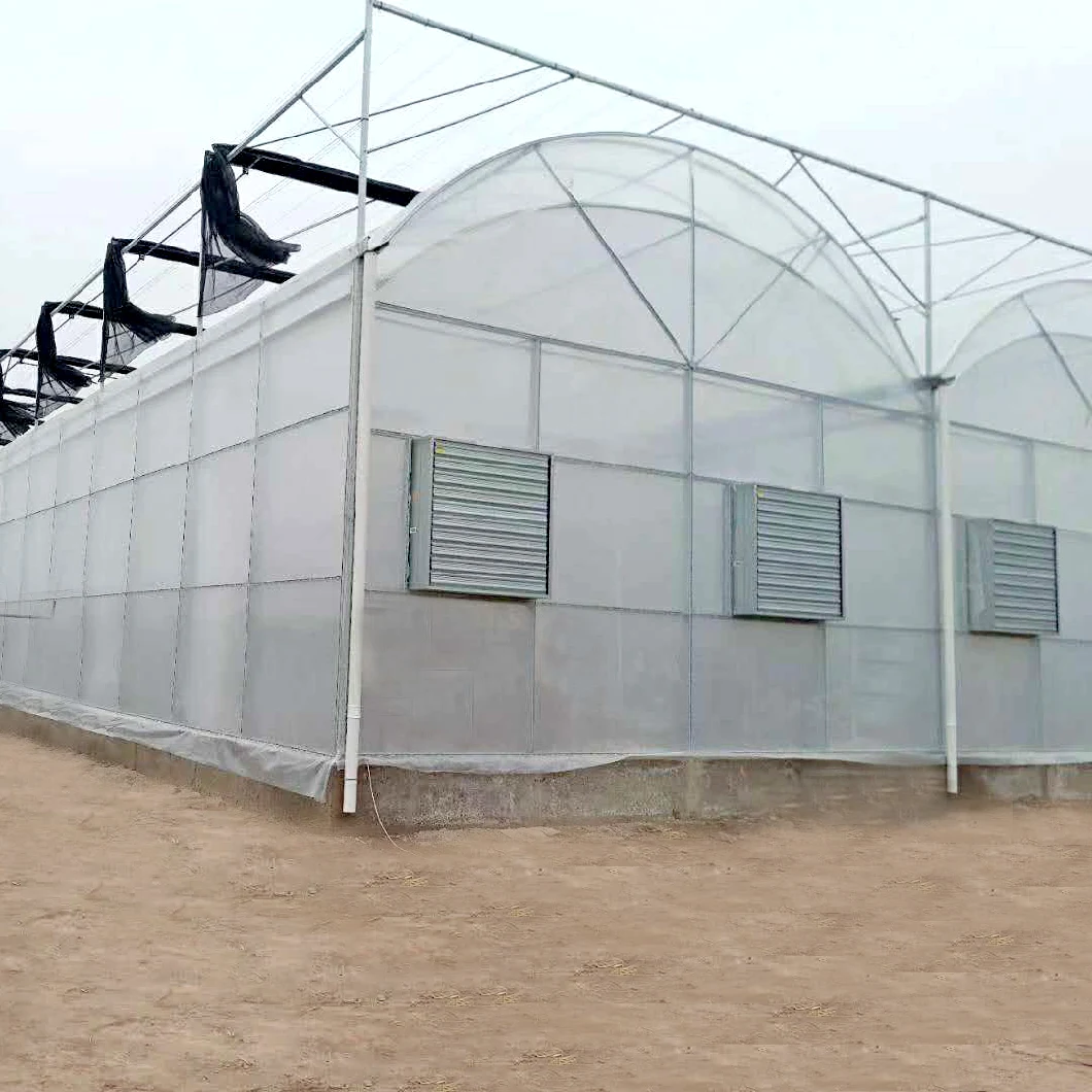 UV Stabilized Agricultural Film Greenhouse with Transparent Woven Greenhouse Film