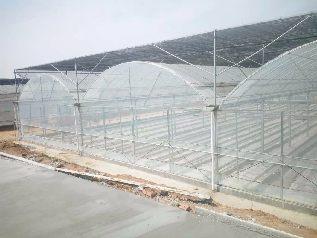 Glass Plastic Film Commercial Greenhouse with Outside Shading Net