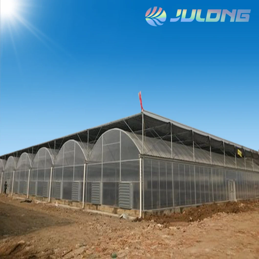 Professional Agriculture Greenhouse Building Materials Multi Span Greenhouses for Planting Breeding Seeding Nursery
