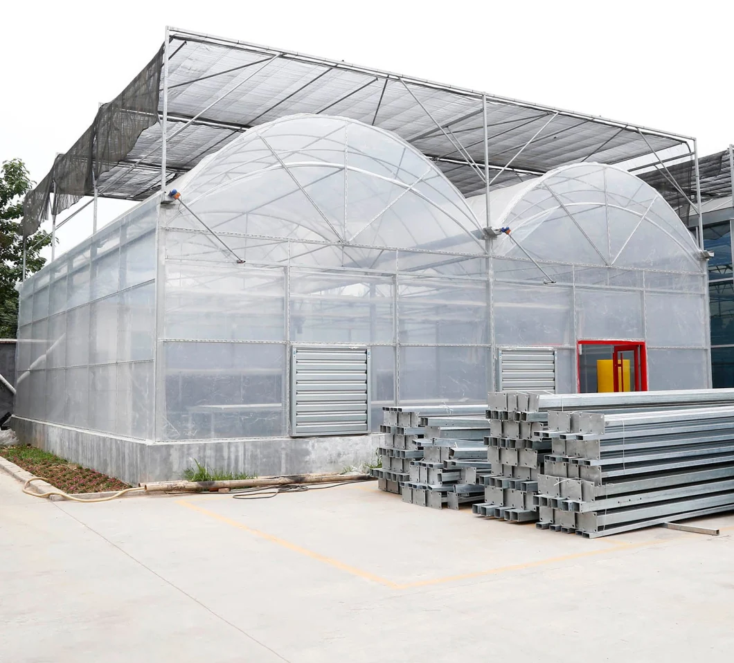 Polytunnel Wide Span Film Greenhouse with Shading Net