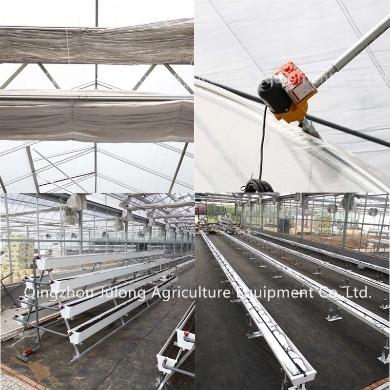 China Vegetable Growing Greenhouse Hydroponics Glass Greenhouse for Sale