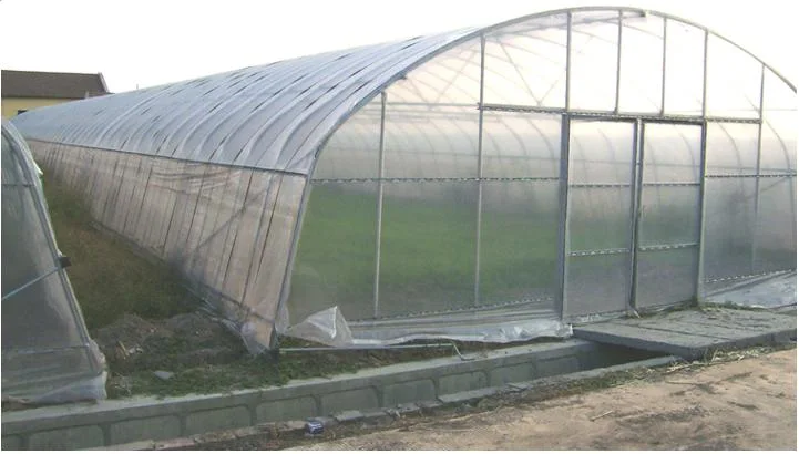Polyethylene/Plastic Film Vertical Farming Companies Greenhouse Hydroponics for Vegetables/Flowers/Fruit/Gardens