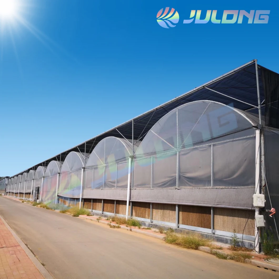 Multi Tunnel Po Film Plastic Greenhouse with Shading System