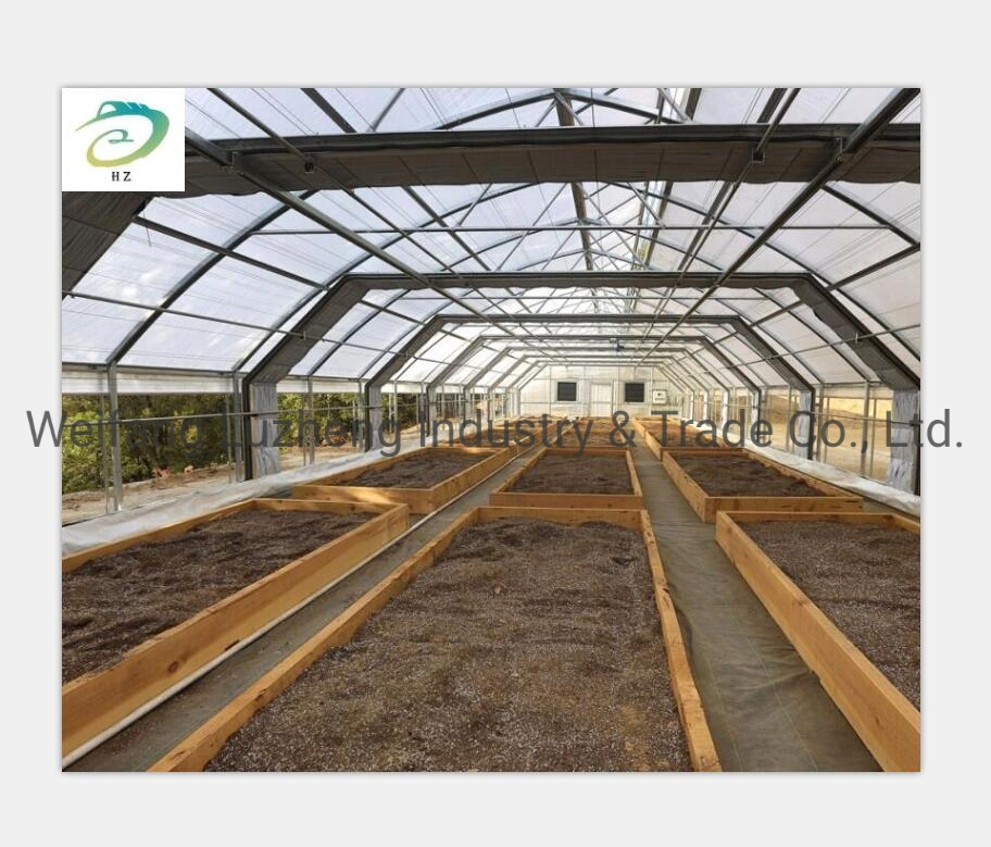 China Factory Hydroponic Polytunnel Greenhouse for Planting Tomato Cucumbers Peppers Lettuce