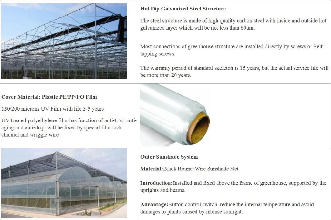 Xinhe Agricultural Multi-Span Plastic Multi-Span Film Greenhouse