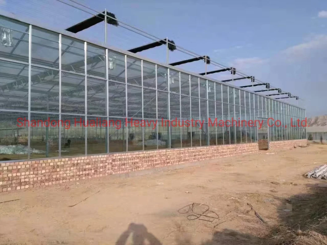 Commercial Polycarbonate Sheet Greenhouse for Cannabis/Hemp Growing