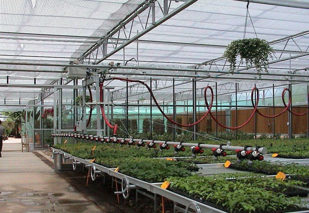 Venlo Agriculture PC Sheet Greenhouse for Tomato/Cucumber/Strawberry/ Tomato/Pepper, /Lettuce