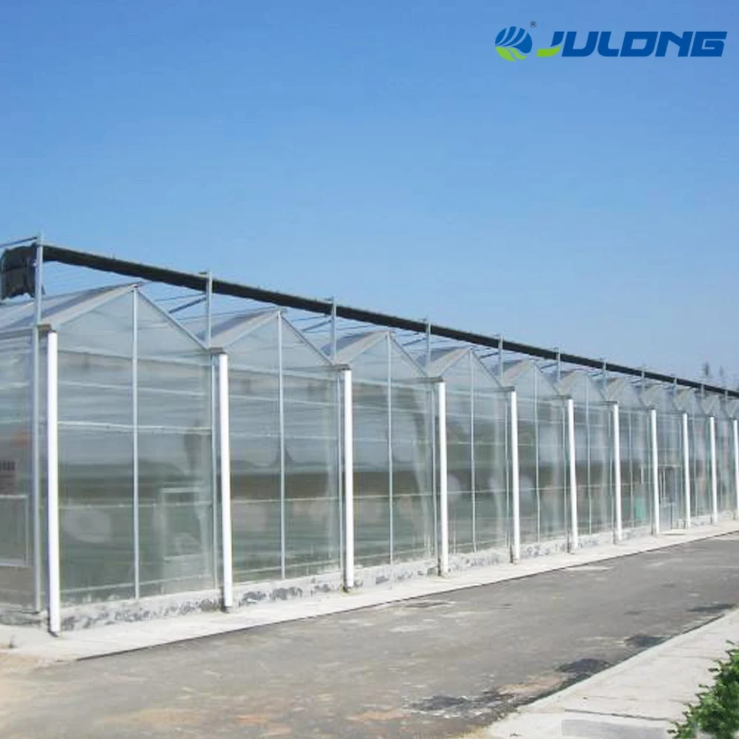 Venlo Multi-Span Glass Gable Venlo Greenhouse with Hydroponic Growing Technology