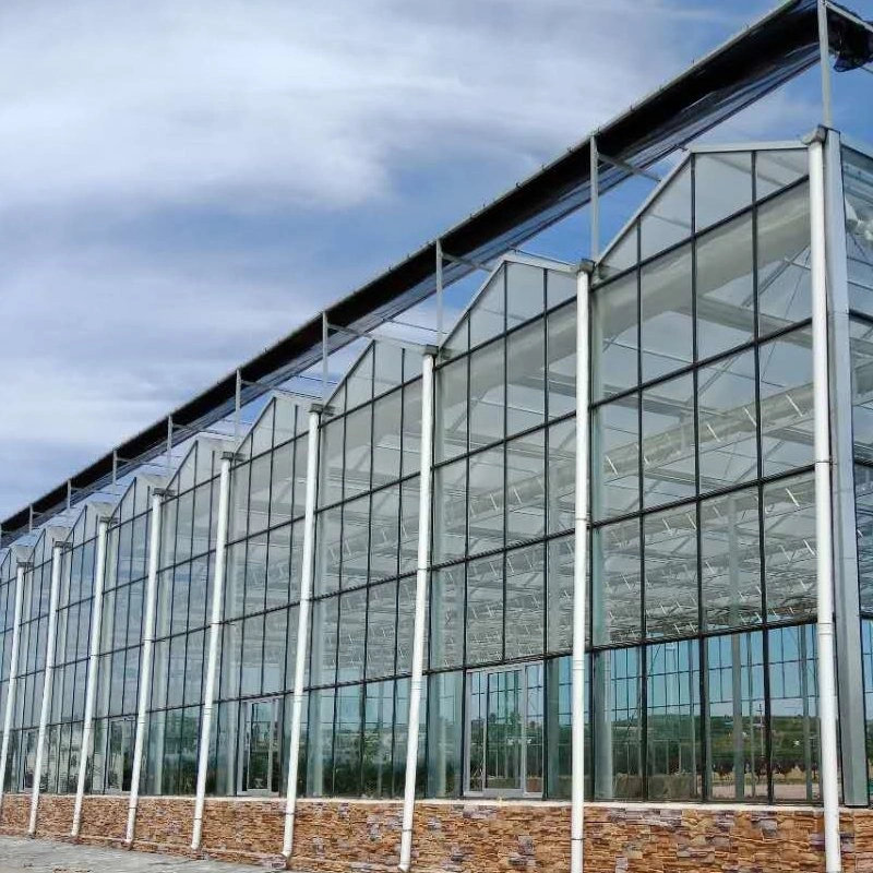 Commercial Multi-Span Glass Venlo Greenhouse for Flowers