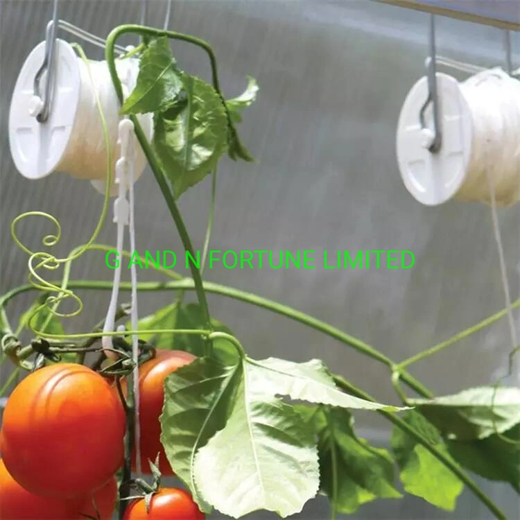 Rattan Hook with Roll Growing Clip for Greenhouse Tomato Cucumber Growing
