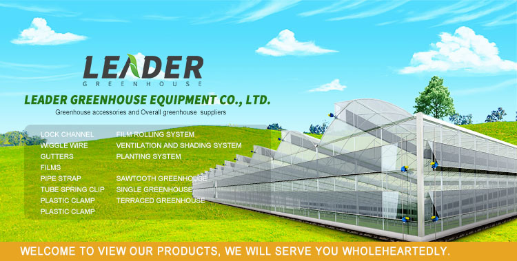 High Quality Agricultural Farm Planting Greenhouse Shading System Electric Driving Geared Motor for Greenhouse