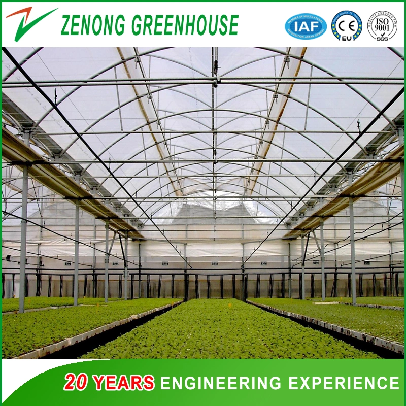 Galvanized Steel Frame Agriculture/Commercial Turn-Key Poly Tunnel Film Greenhouse Glass Greenhouse PC Greenhouse for Vegetables/Flowers/Exhibition/Hydroponics