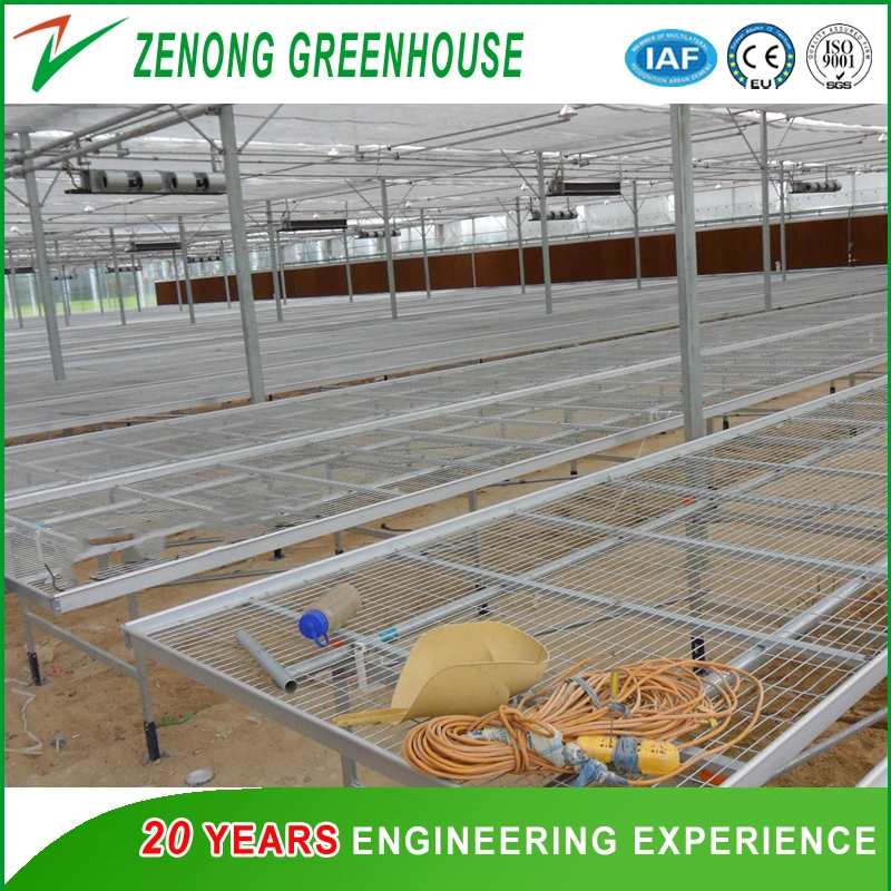 Poly Tunnel PC Greenhouses with Rolling Bench for Seed Breeding