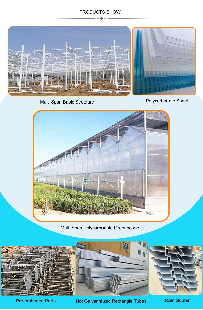 Commercial Aluminum Frame Polycarbonate Sheet Greenhouse From China