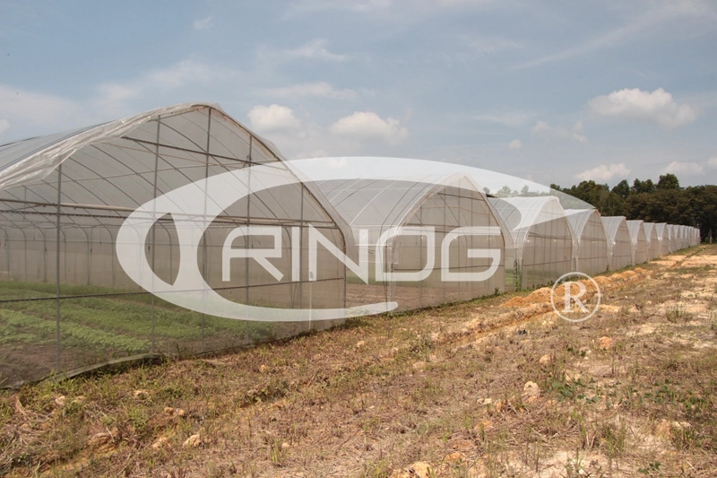 Agriculture/Farm/Single-Span/Tunnel Plastic Film Greenhouse with Irrigation System for Tomato/Strawberry/Cucumber Planting