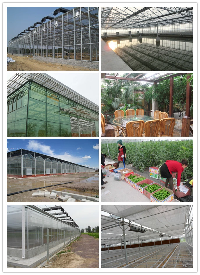Top Quality Double Layer Hollow PC Greenhouse with Top Ventilation System for Seed Breeding