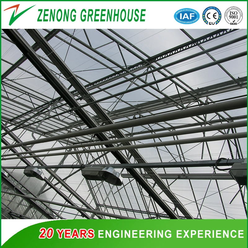 Intelligent Multi-Span PC Greenhouse for Vegetabels/Flowers/Seeds Breeding