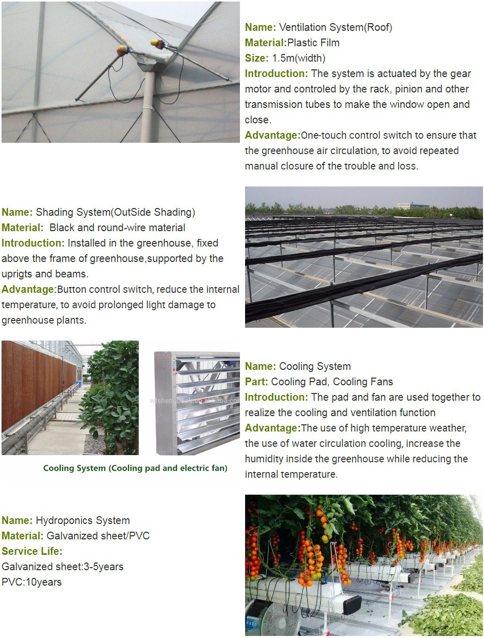 Traditional Arch Style Multi-Span Poly Film Greenhouse with Shading System