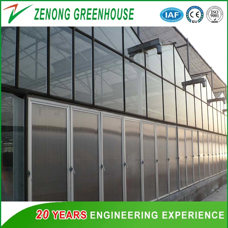 Zenong Turn-Key Greenhouse Project High Quality PC Greenhouse for Hydroponics/Seed Breeding/Eco Restaurant