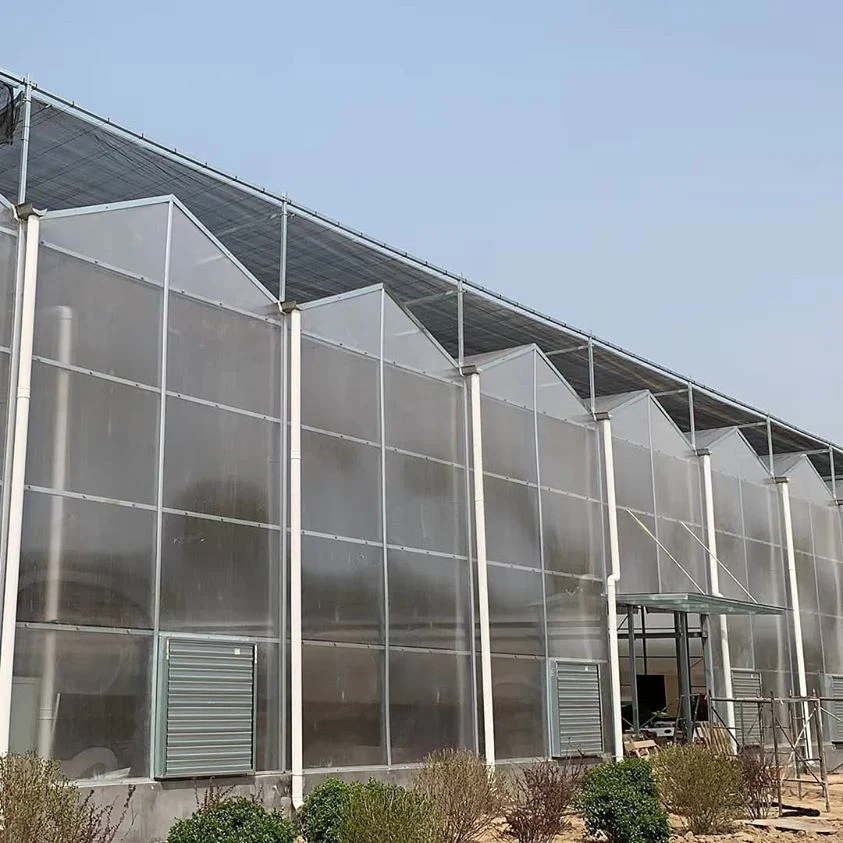 Agriculture Vegetables Hydroponic Systems Equipment Multi-Span PC Greenhouse