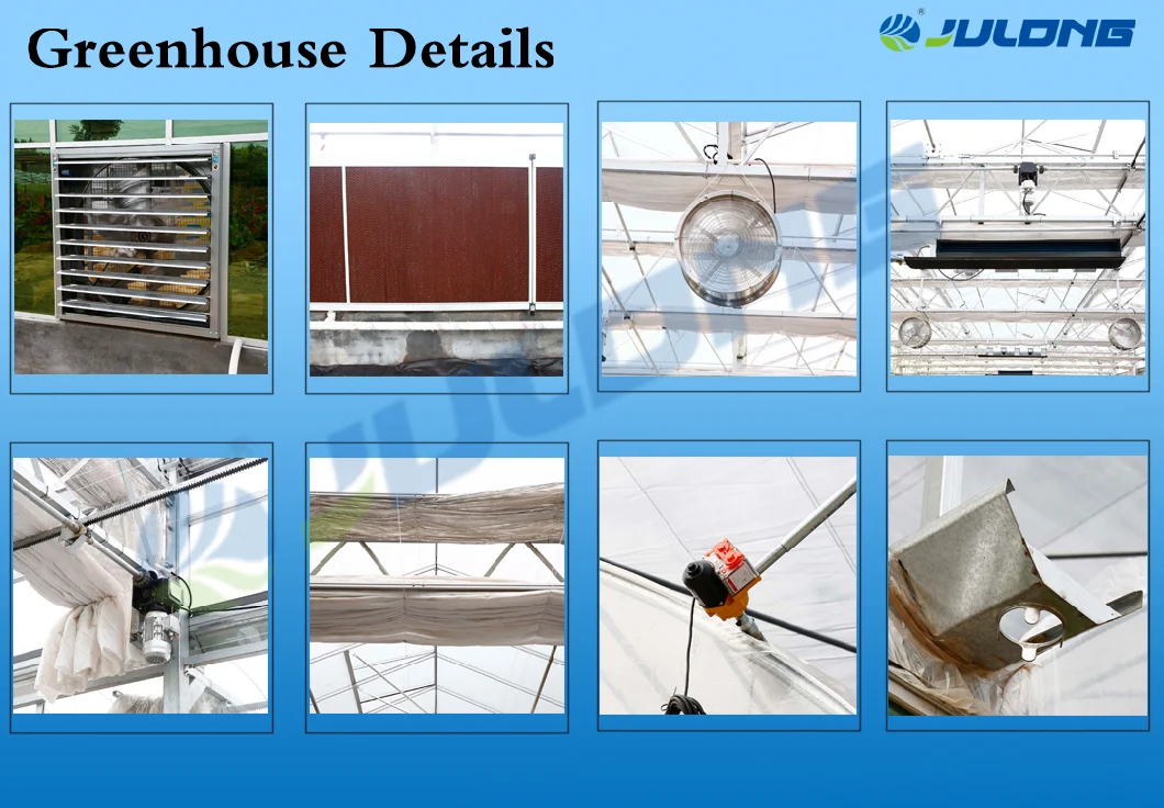 Commercial Multi Span Aluminum Profile for Flowers Glass Greenhouse