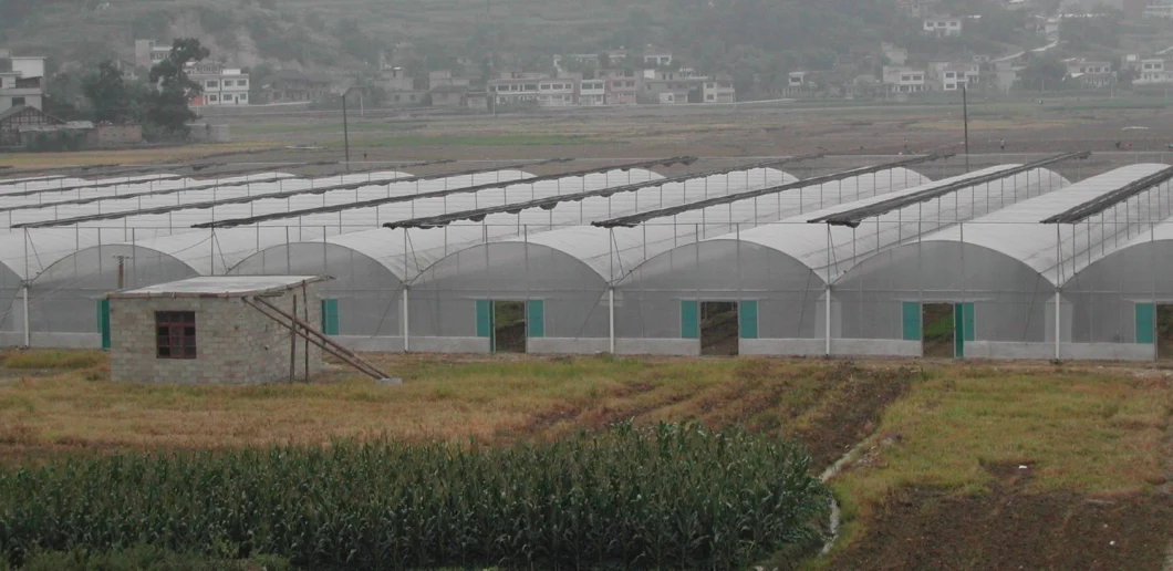 Arch Roof Green House Po/PE Plastic Film Greenhouse with Sprinker System/Shading Net