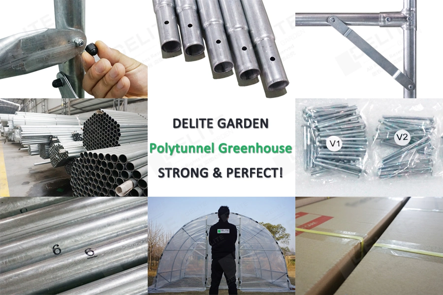 Double Layer Hoop House Agriculture Breeding Steel Frame Full Polytunnel Greenhouse Kits