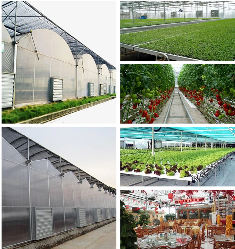 Gutter Connected PC Greenhouse with Automatic Ventilation/Cooling/Irrigation System for Seed Breeding