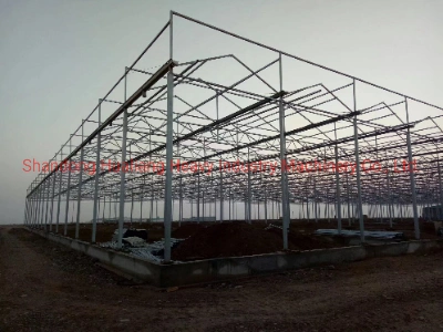 Intelligent Polycarbonate Sheet Greenhouse for Cannabis/Hemp Growing