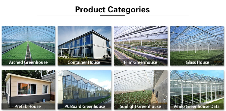 Hydroponic Venlo PC Polycarbonate Energy Drive Photovoltaic Panel Solar Greenhouse, Glass Greenhouse