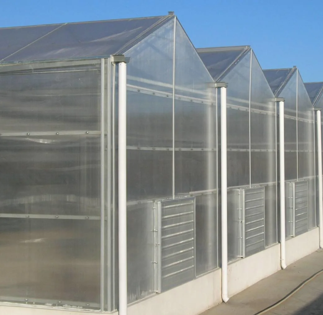 PC Board Covered Sunlight Greenhouse UV Coating Polycarbonate Greenhouse for Cabbage/Celery/Mushroom/Green Cucumber