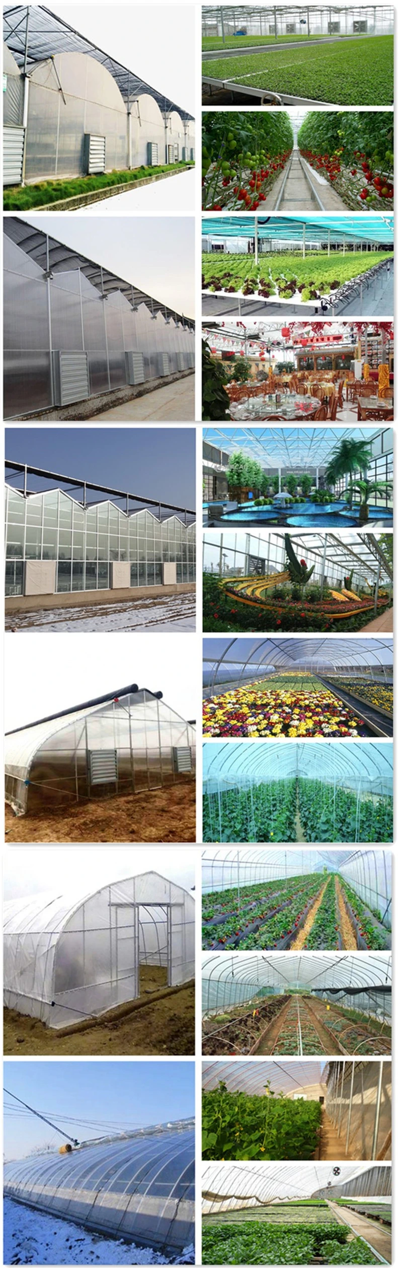 Agriculture Smart Glass Greenhouse with Shading/Cooling/Ventilation/Irrigation System