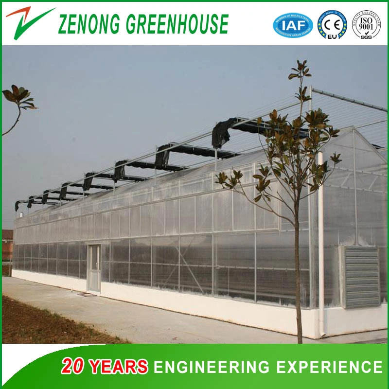 Marine Product Green House/Greenhouse Hydroponic Seed Breeding Agricultural Greenhouse Farming Agriculture