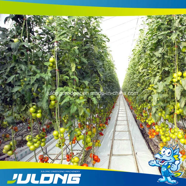 Medical Plant Growing Fully Auto Blackout Shading Polycarbonate Greenhouse