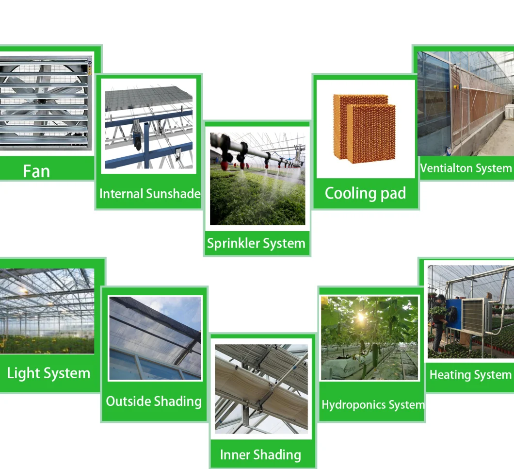 Low Cost Commercial/Agricultural Plastic Film Greenhouse
