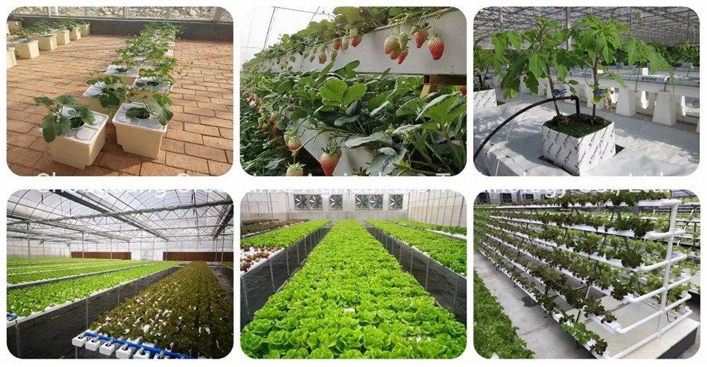 Agricultural/Commercial Single Span/Cheap Tunnel/Gothic Plastic Film Hydroponic Greenhouse for Tomatoes Lettuce Cucumber